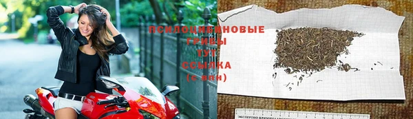 дживик Аркадак