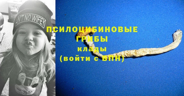 Альфа ПВП Арсеньев