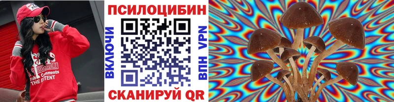Псилоцибиновые грибы прущие грибы  мега онион  Нижний Тагил  где купить  