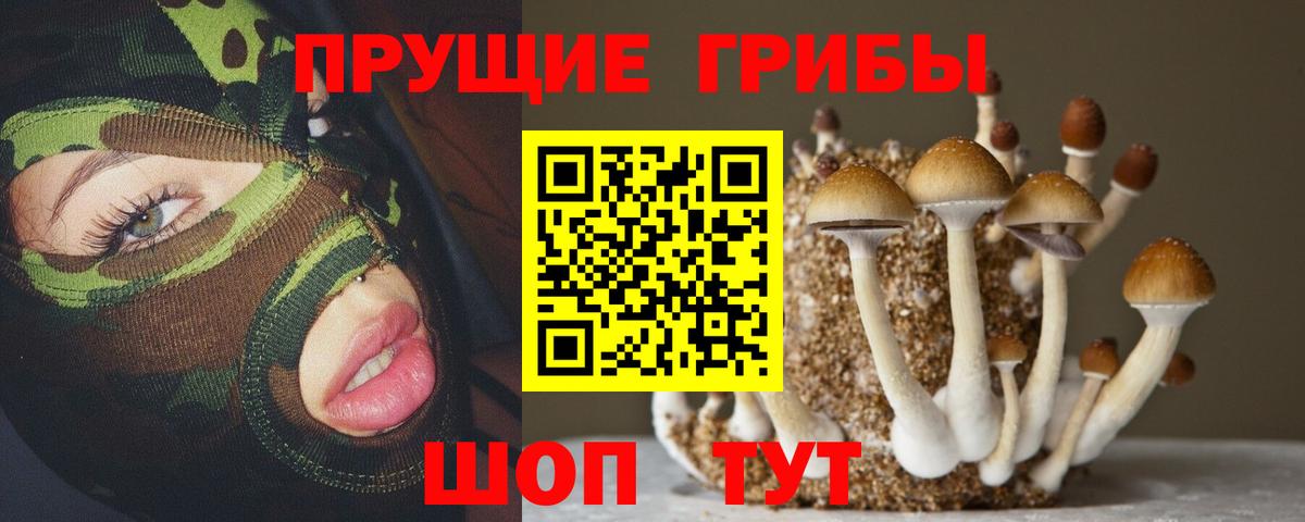 Нижний Тагил  Псилоцибиновые грибы Psilocybe  Вход с VPN 